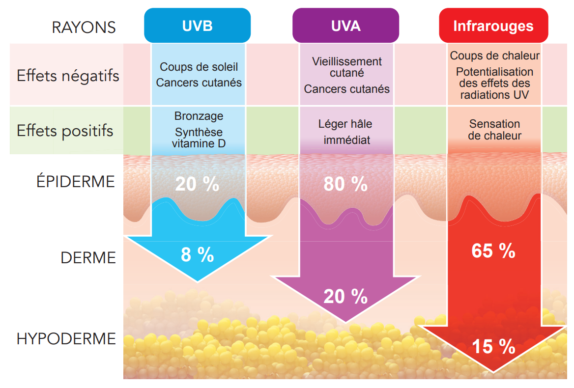 Prévention cancer de la peau. effets du soleil